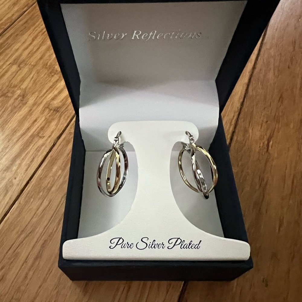Silver Reflections Earrings